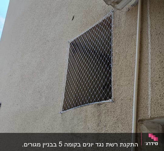 רשת מותקנת על חלון למניעת כניסת יונים